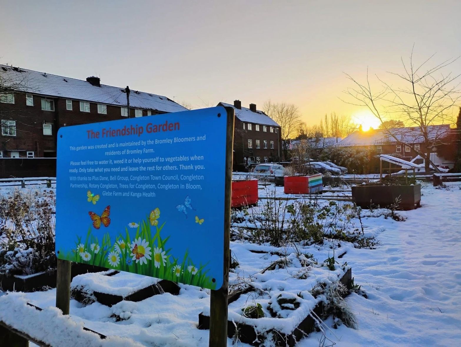 image of the Friendship garden at sunset