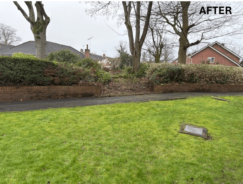 Picture of neat grass verge